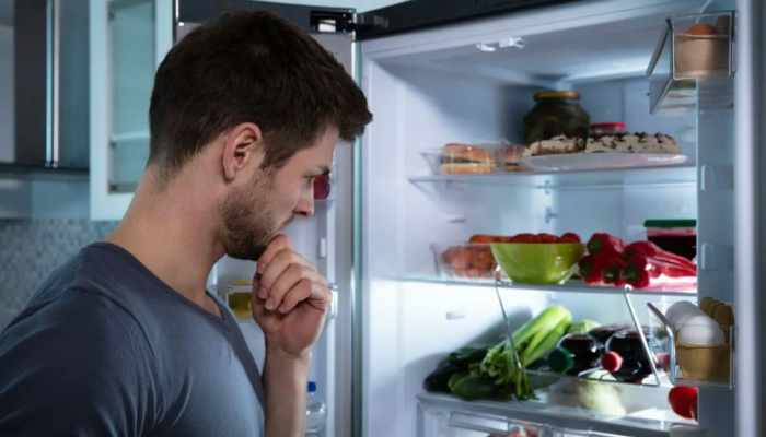 то можно сделать самостоятельно, если холодильник сильно шумит?